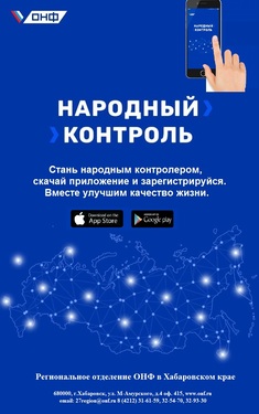 Народный контроль